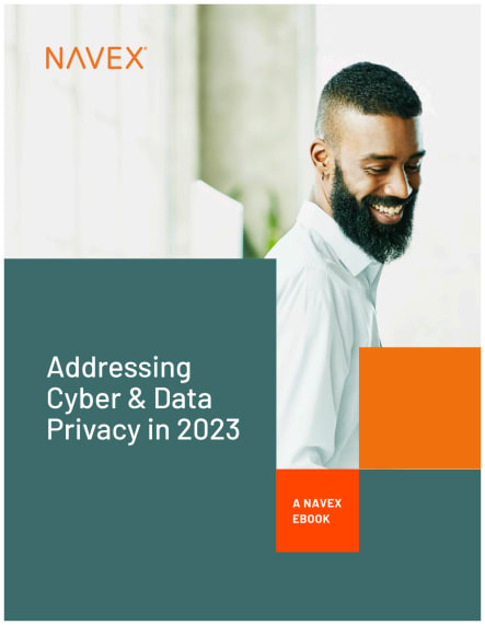 teaser for cybersecurity and data privacy ebook 