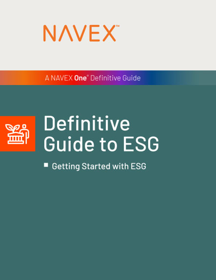 ESG Definitive Guide.pdf