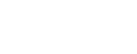 fis logo 